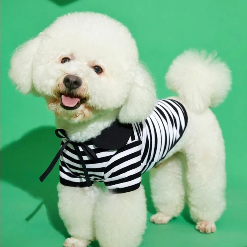 New Shein Hello Kitty Dog Shirt